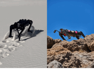 Robot Locomotion and Sensing for Earth and Planetary Explorations Image